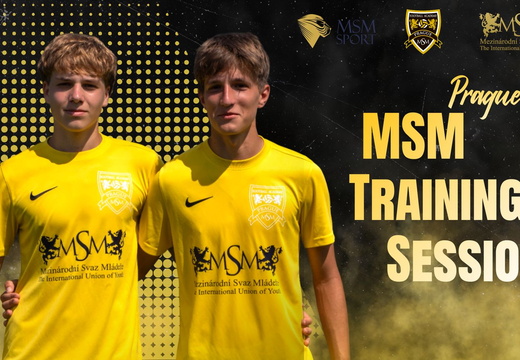 MSM Training Session